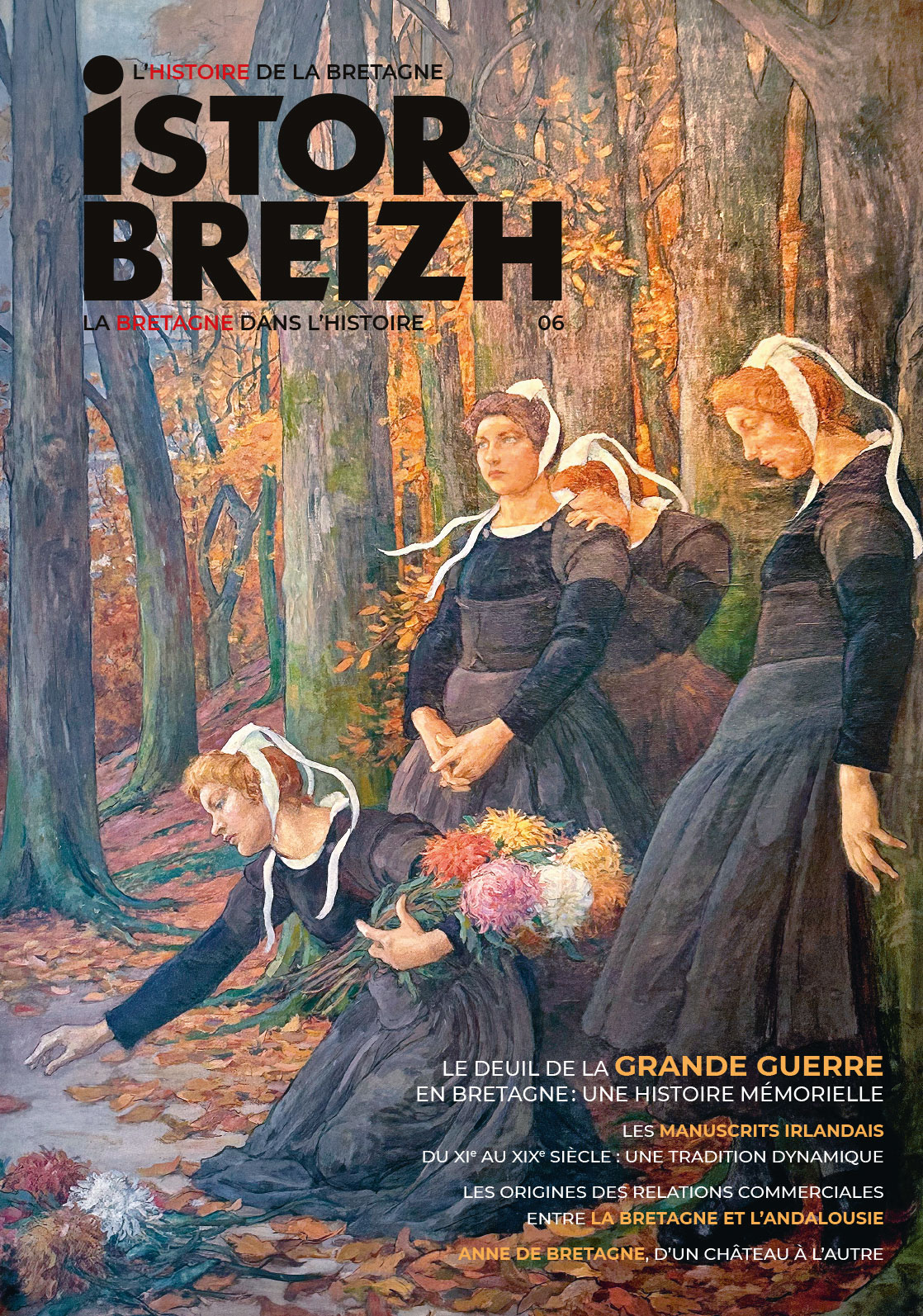 Couverture de ISTOR BREIZH N°6
