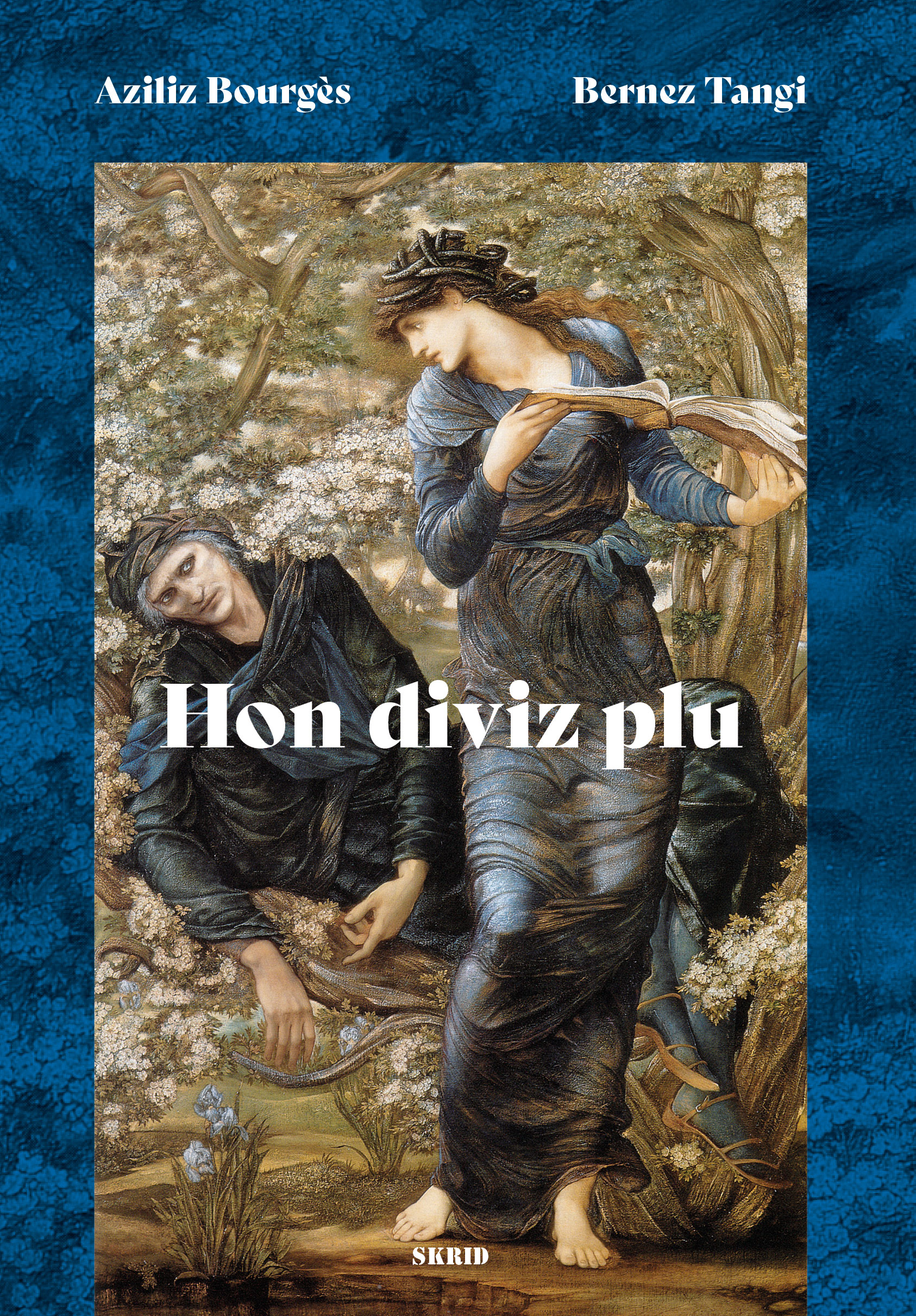 Couverture de Hon diviz plu